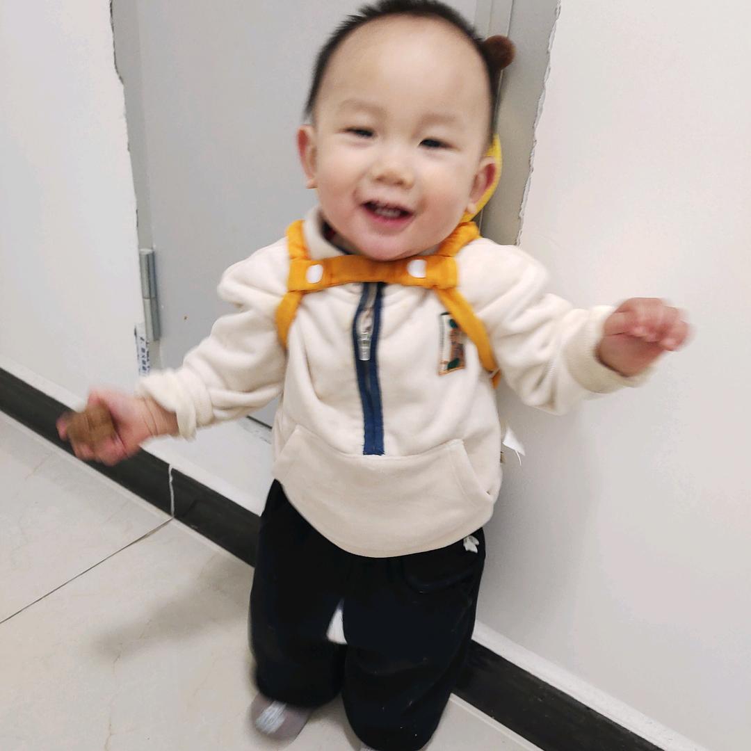 眉县梅姐猪粪鸡粪兔粪羊粪牛粪工厂直销