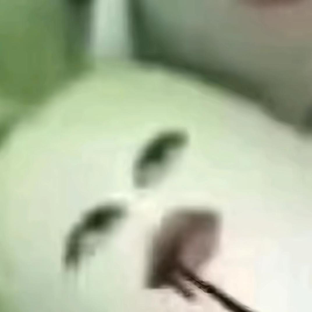 爱吃奥利奥的奥特曼大喊奥利给