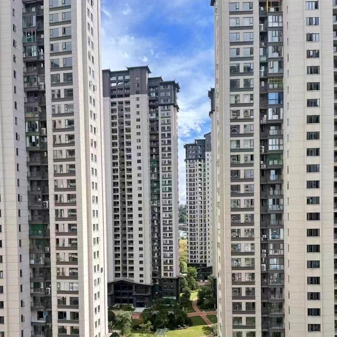 江上院，24老顾🙃