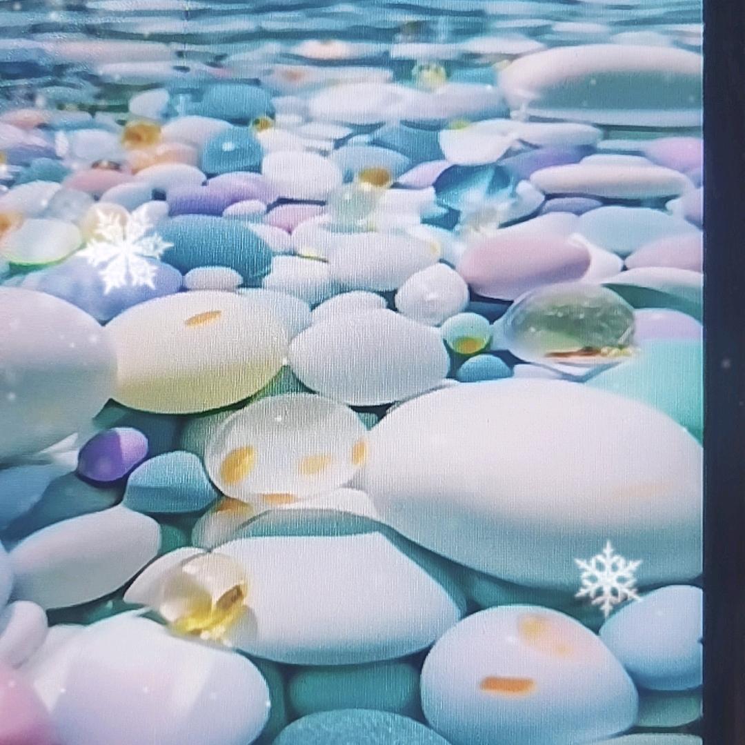 🌈看🐬🐬海🌈