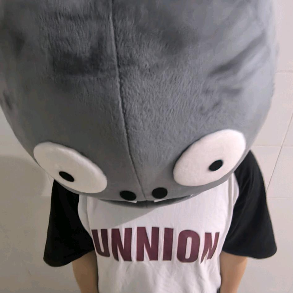 是🐮🐮吖🏳️‍🌈