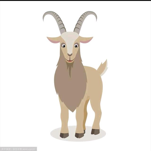 干板羊肉