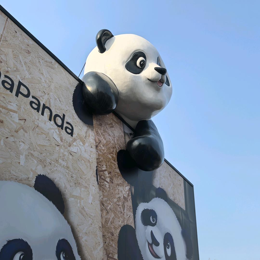 涛涛