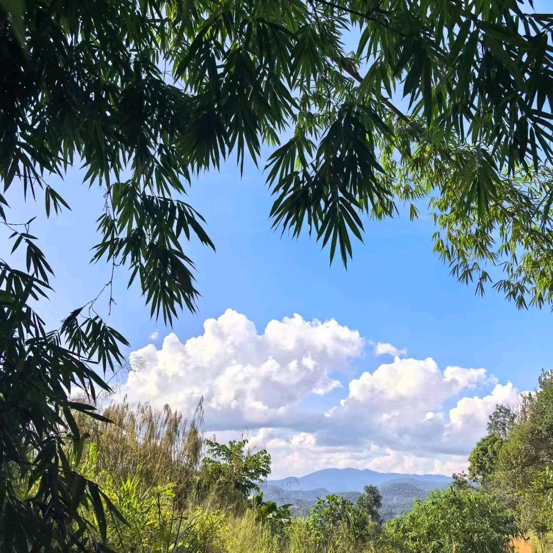 陪你每一天（吃玩同行）