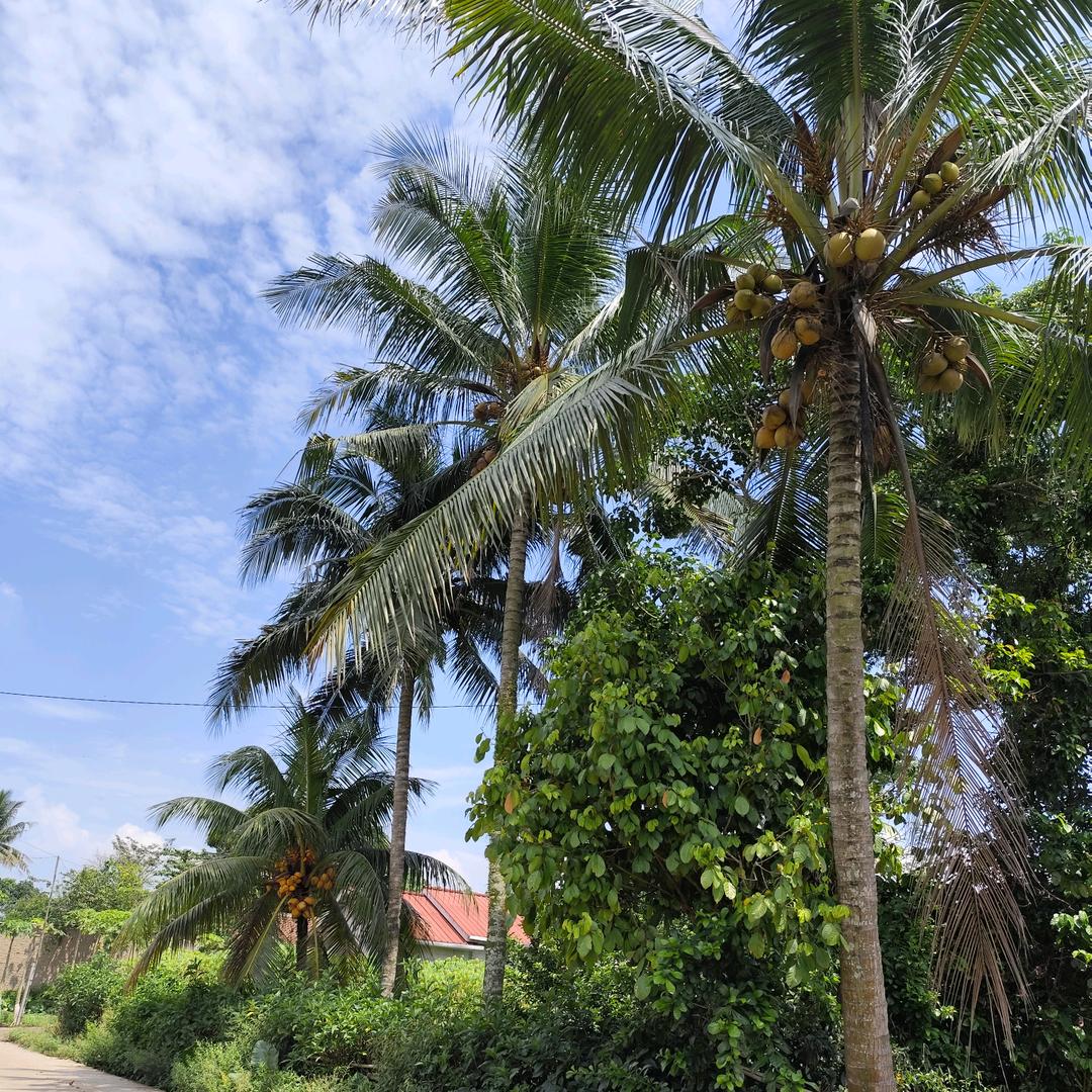 ゞ霸气℡女人范er