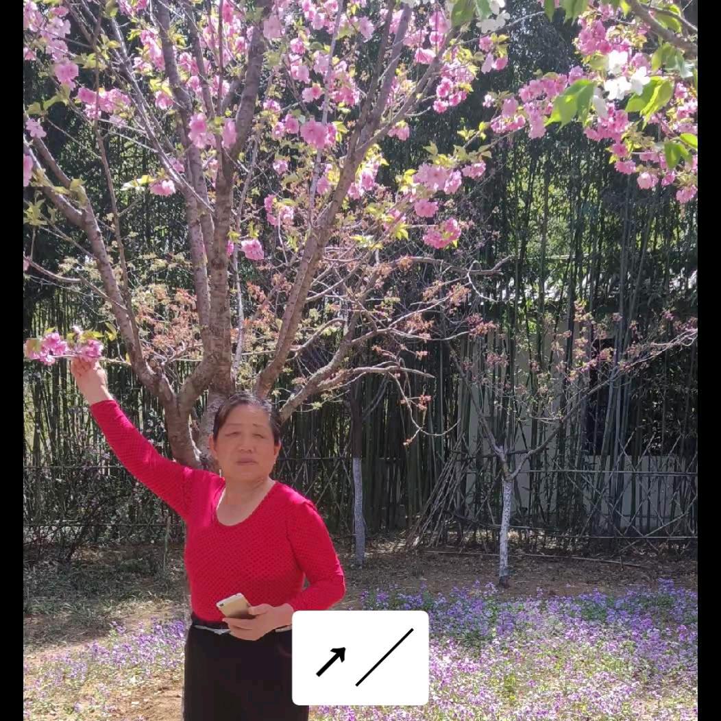 专科 武＾斌v数斌