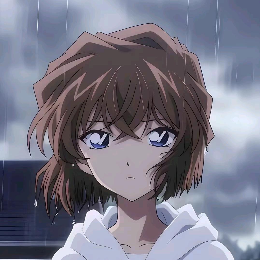 云杉木