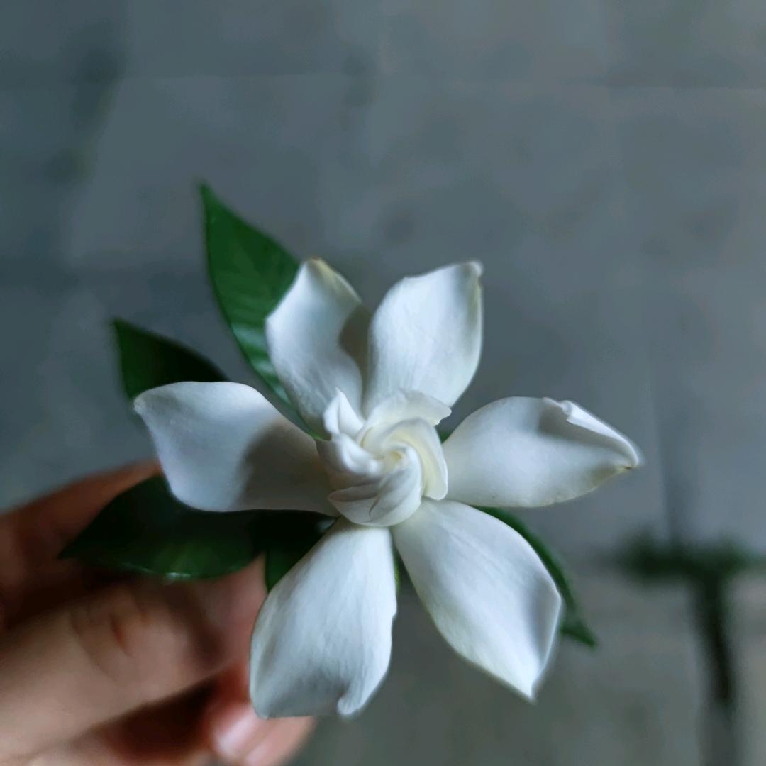 等待明天