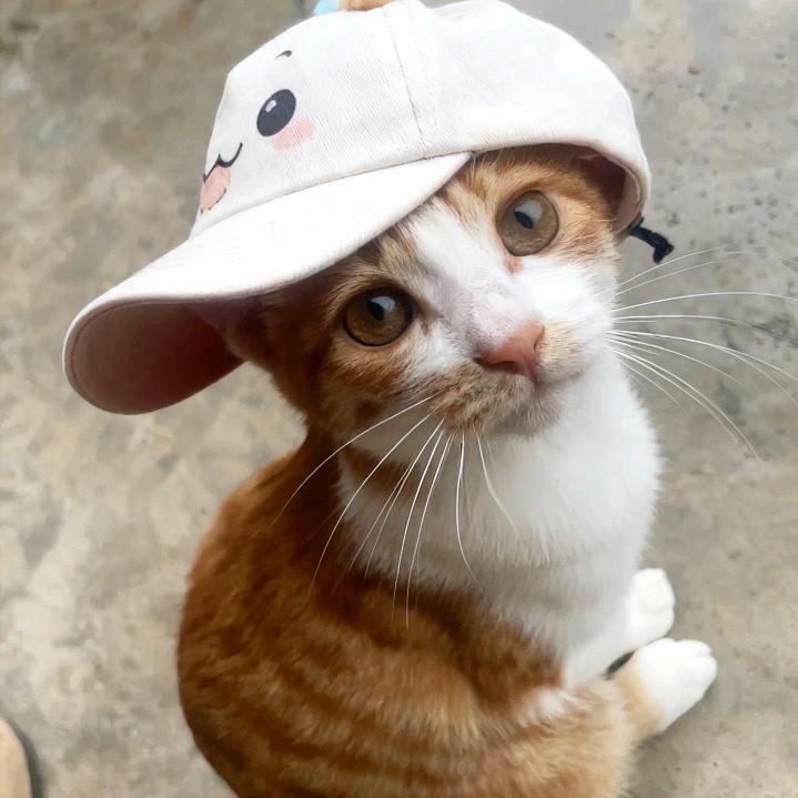 。。。…