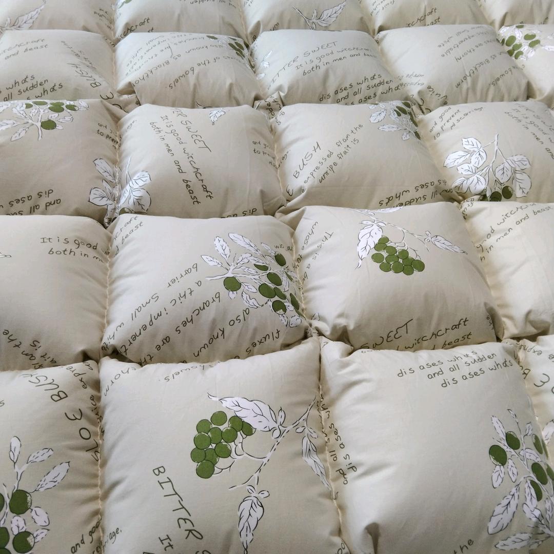 鑫鑫干洗翻新定做羽绒服羽绒被