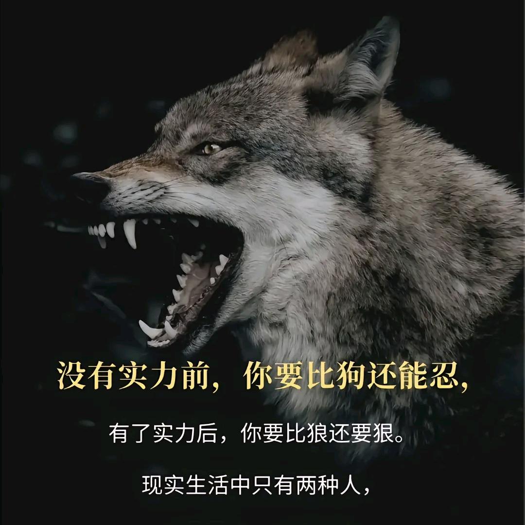 云哲