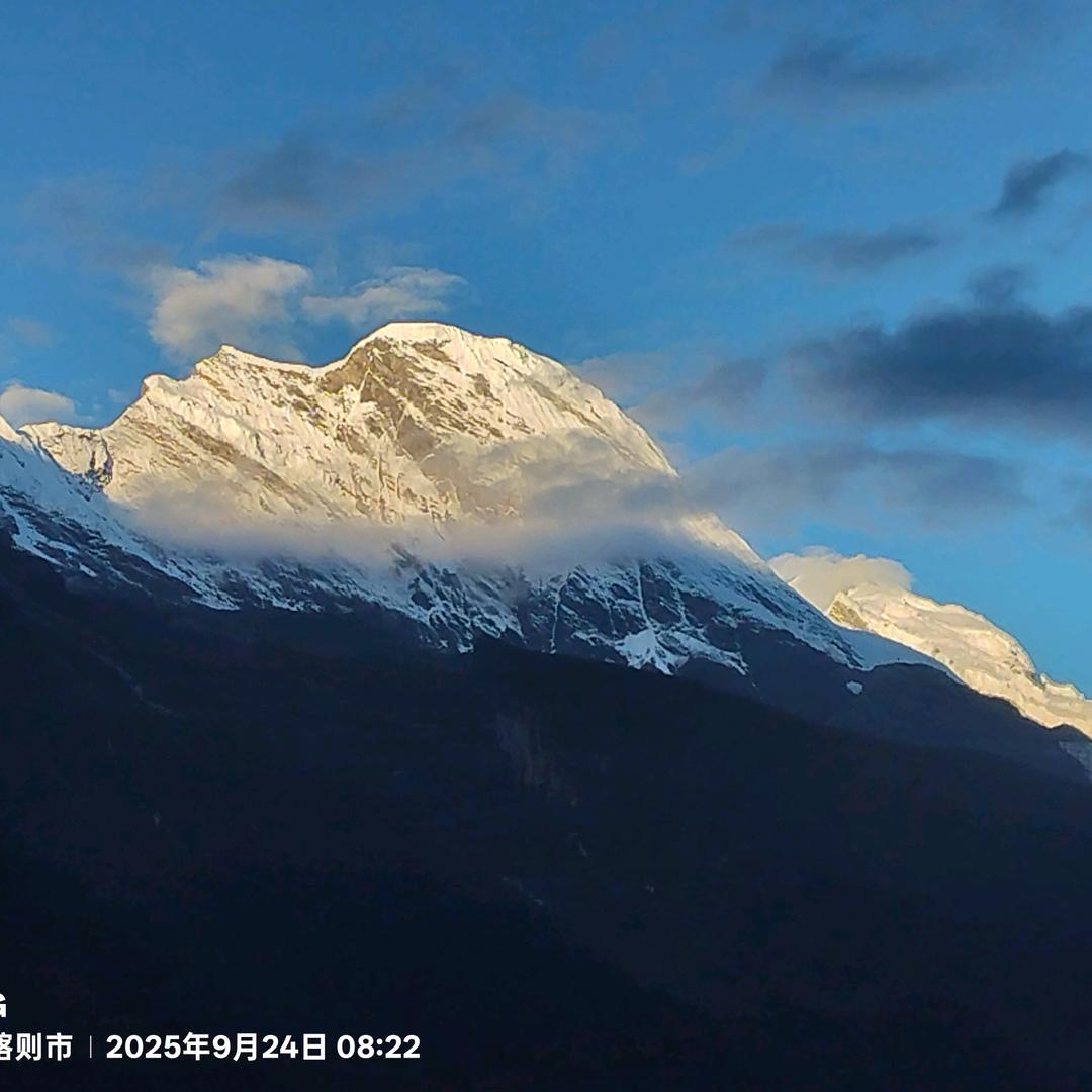 碰花碰草不碰情