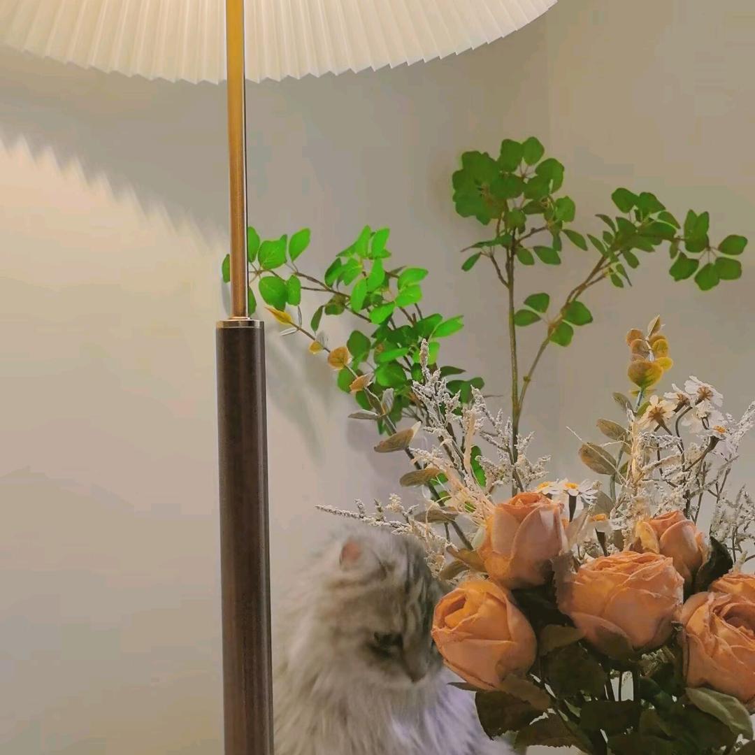 加点糖