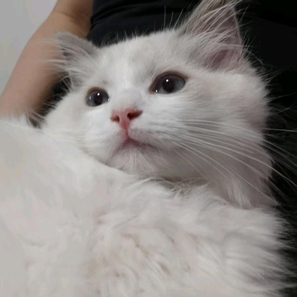 萧然[怦然心动][怦然家族]