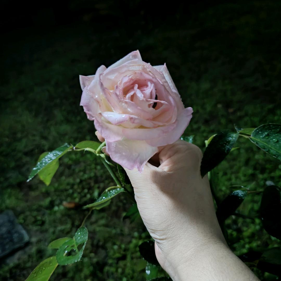 ღ᭄ꦿ꯭优ঞৣঁ优প