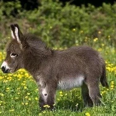 ⛵️孤帆丶天涯🎣