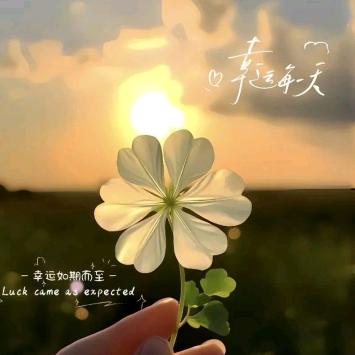 ᮨ໌້𝓬岁月静好