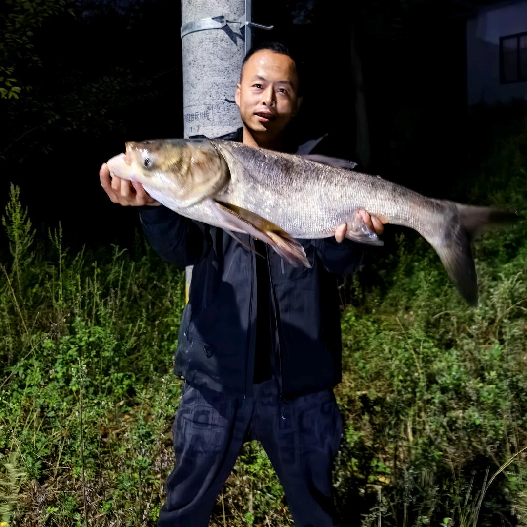 龙仔爱钓鱼日常生活《橱窗有好物》