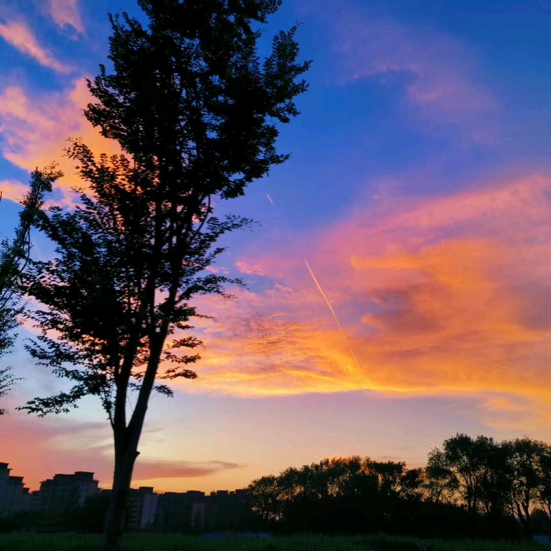 山林不向四季起誓