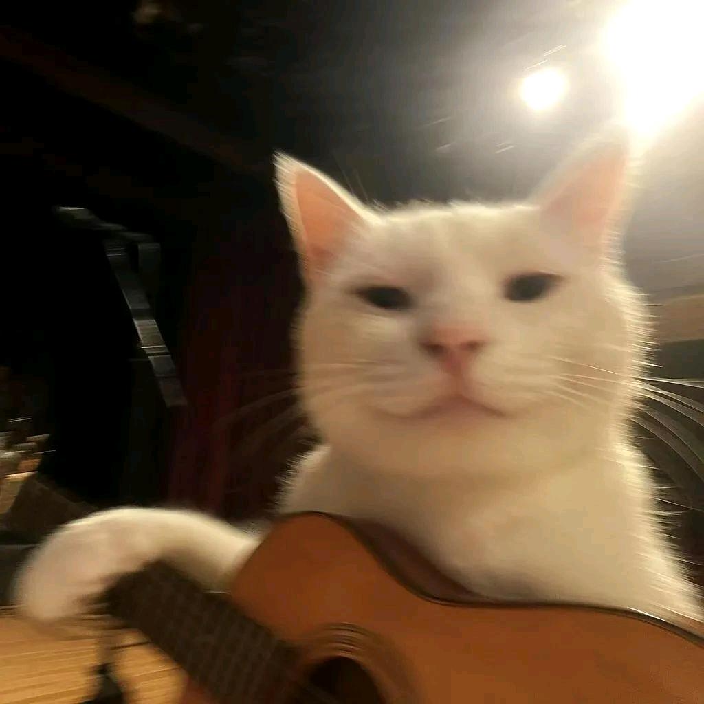 安