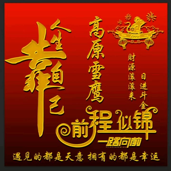 辉煌人生