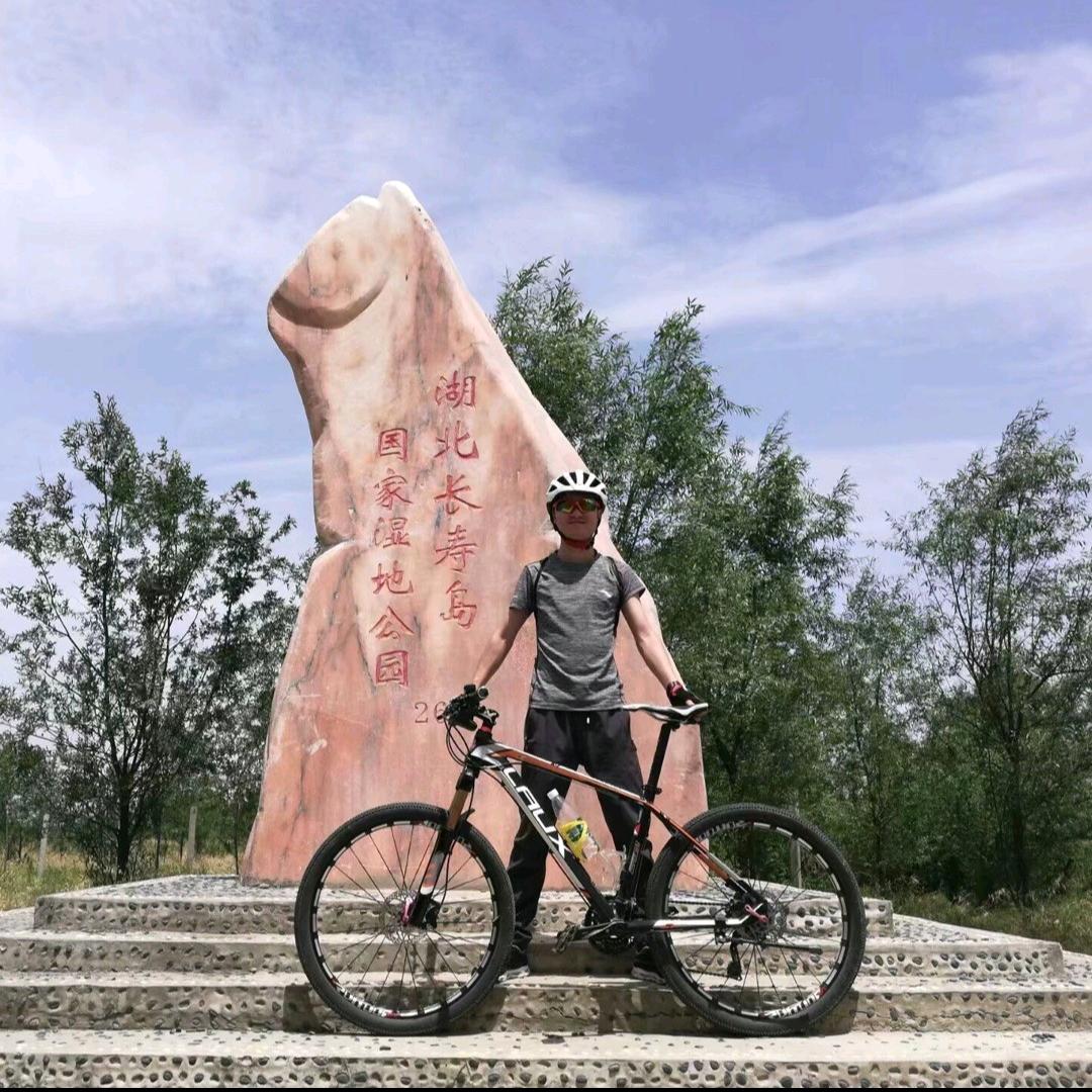 航空路雷克斯自行车