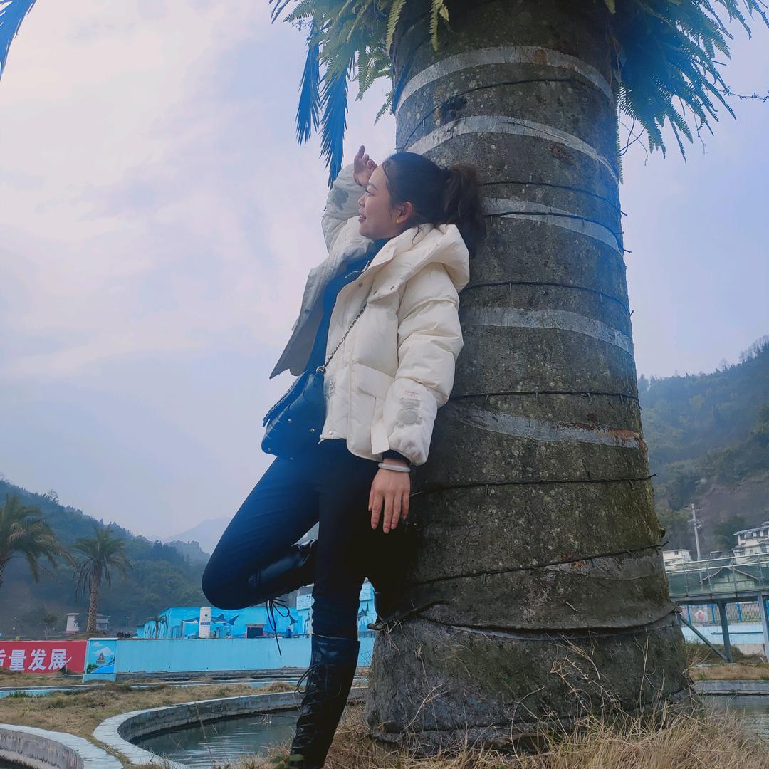 顺风而行