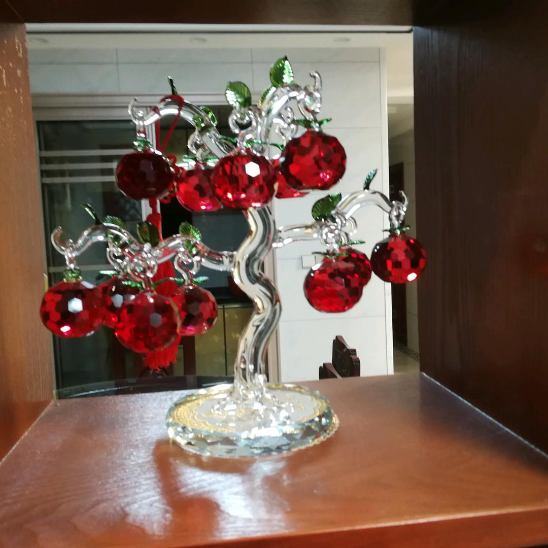 像小强一样活着