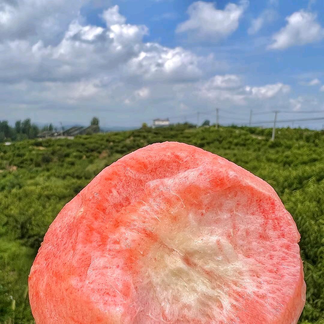 🍉🍉