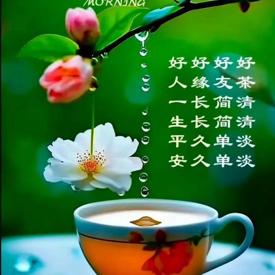 如愿🔆