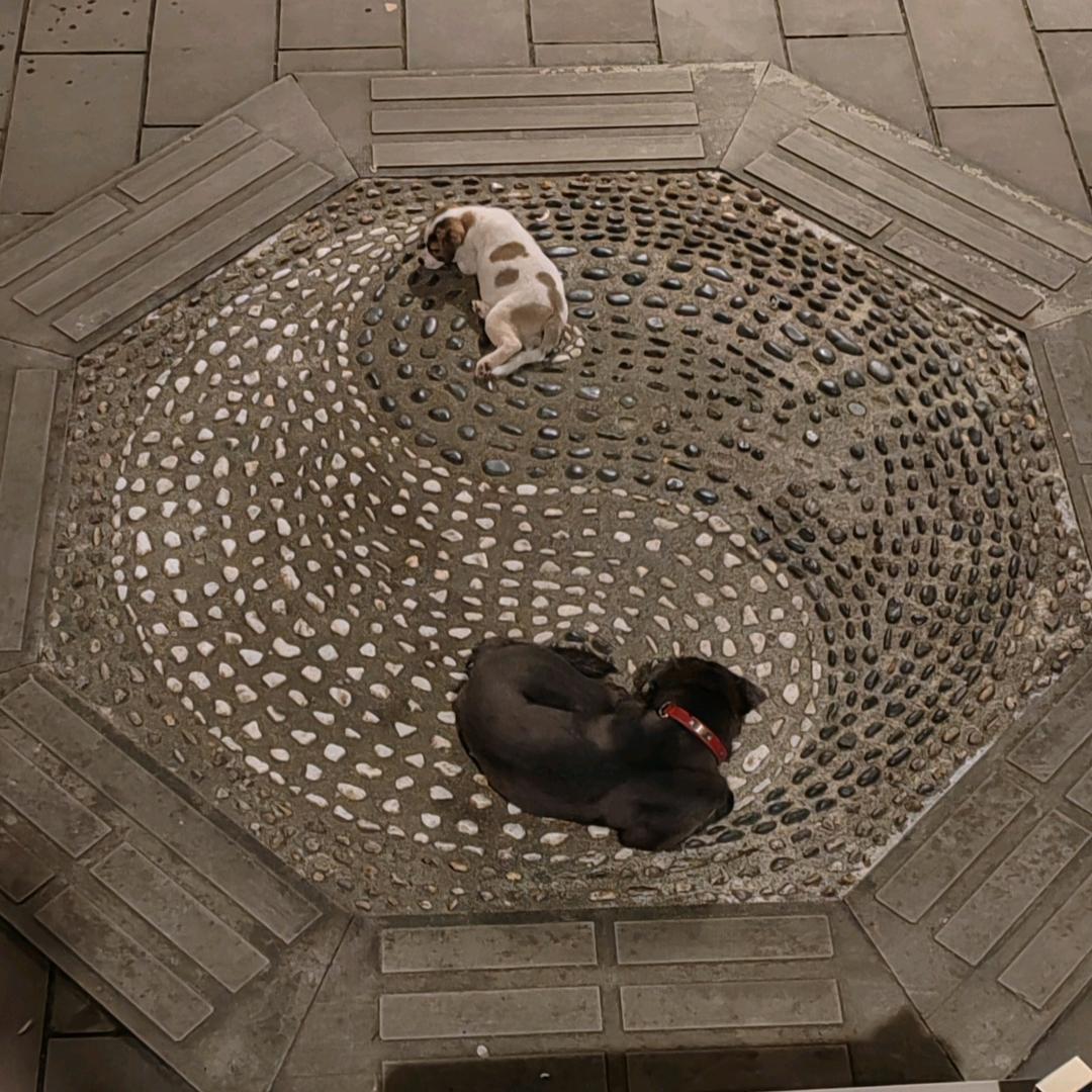 壶中日月～ 周凯