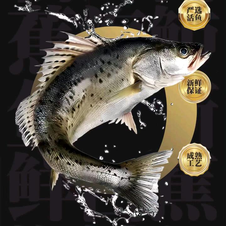 鱼工厂，主营海鲈鱼，游龙班