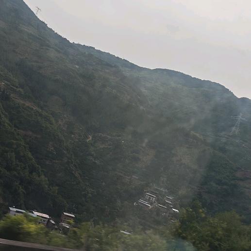 三豆
