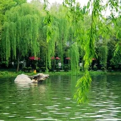 美满幸福