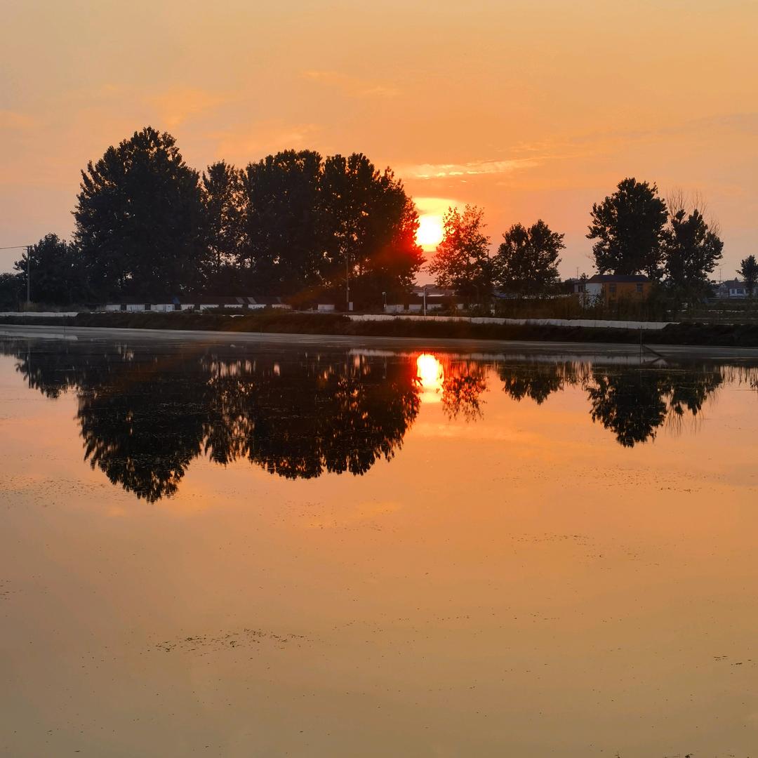 哎呦喂⚡️🇨🇳