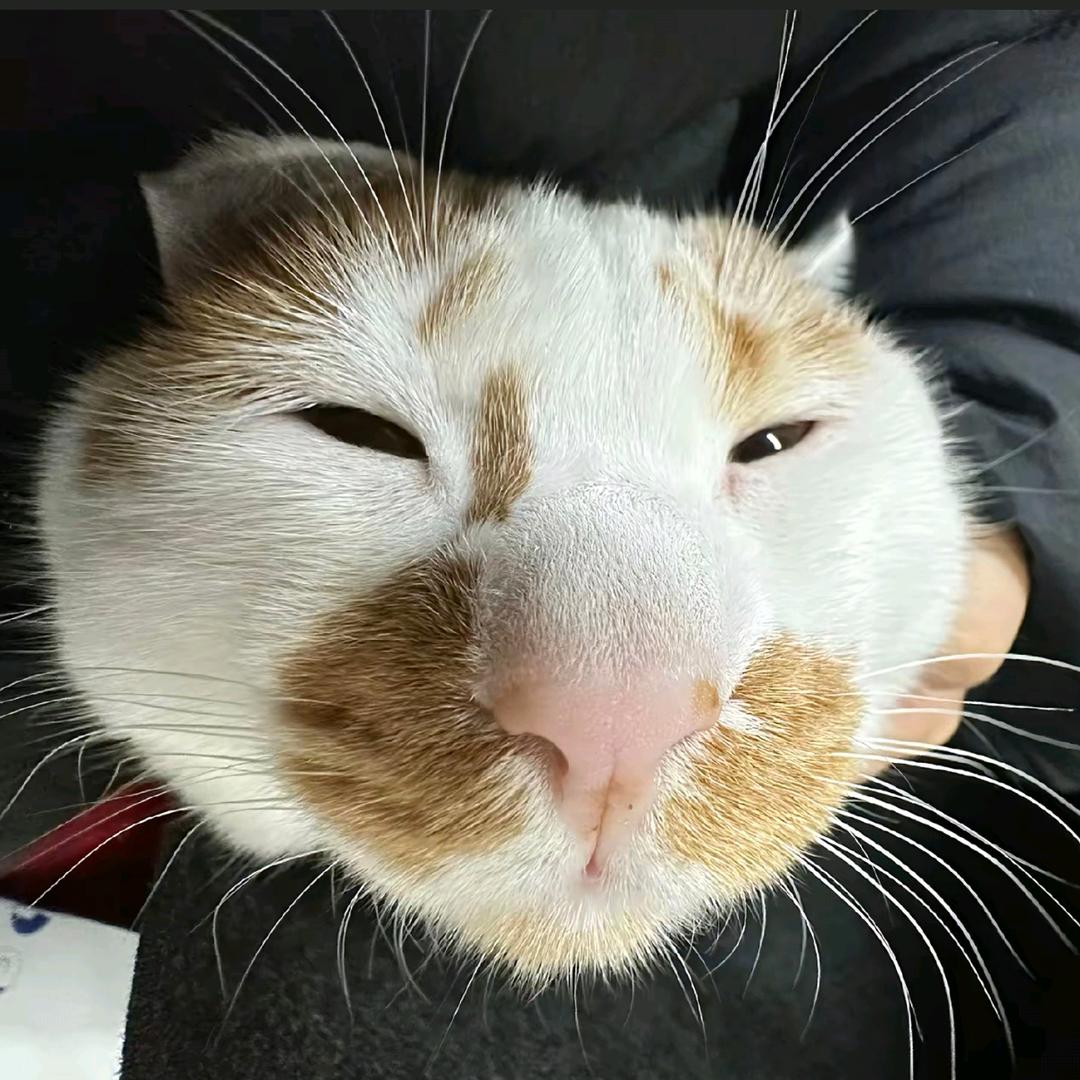 佰万