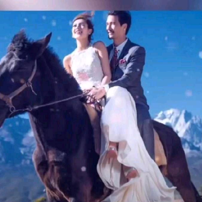 东北马哥🇨🇳