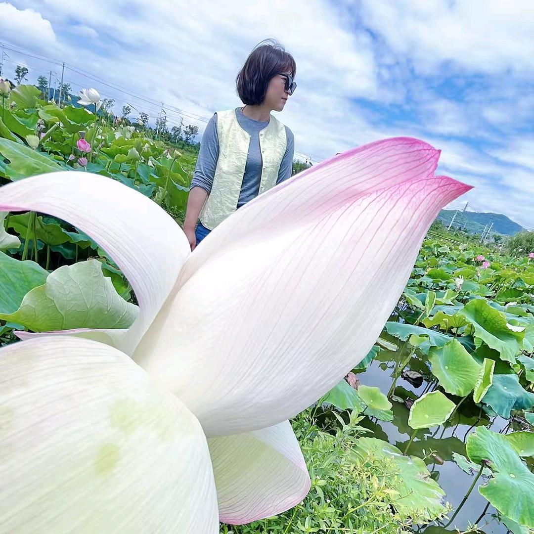 @ꫛ💖好运爆彭💕꧔ꦿ᭄