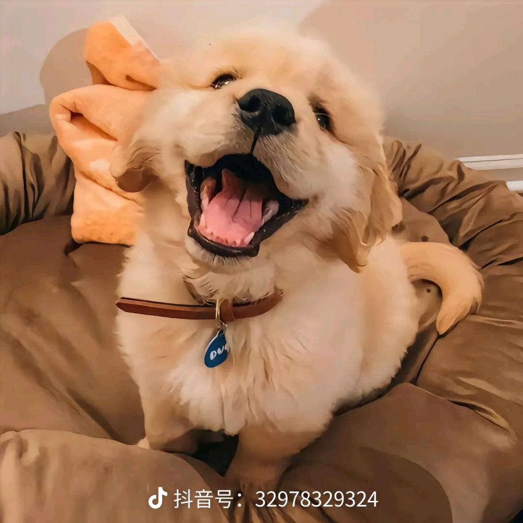 小天使不老实
