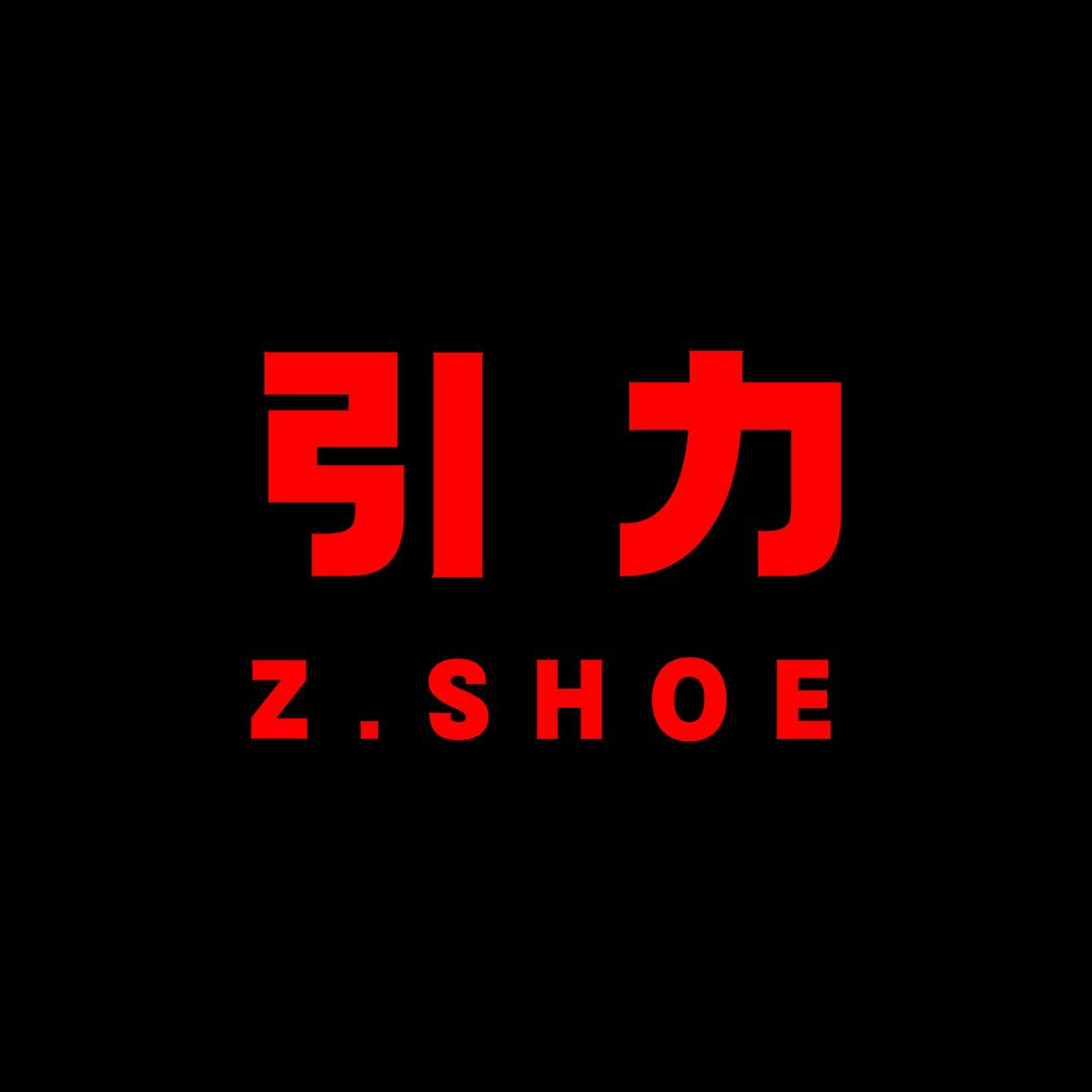 Z SHOE引力 概念潮鞋