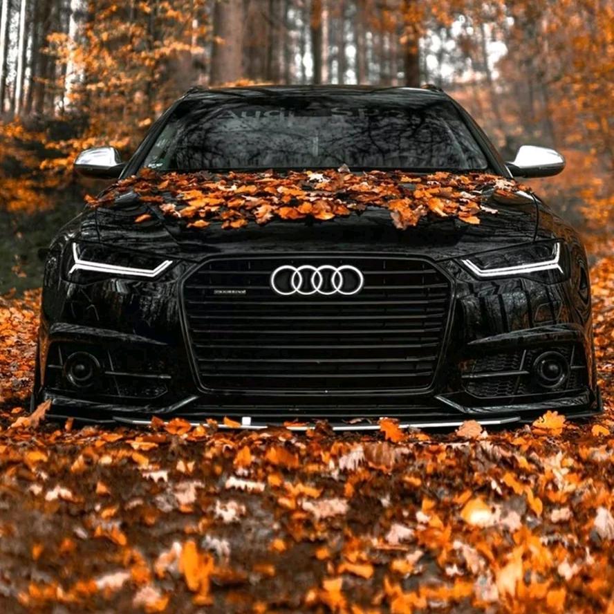 喜欢车装修中心