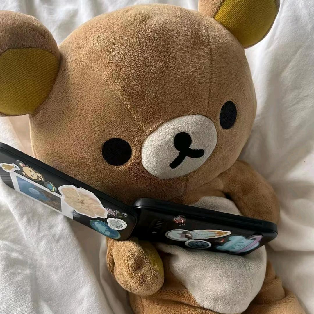 🐻🐻