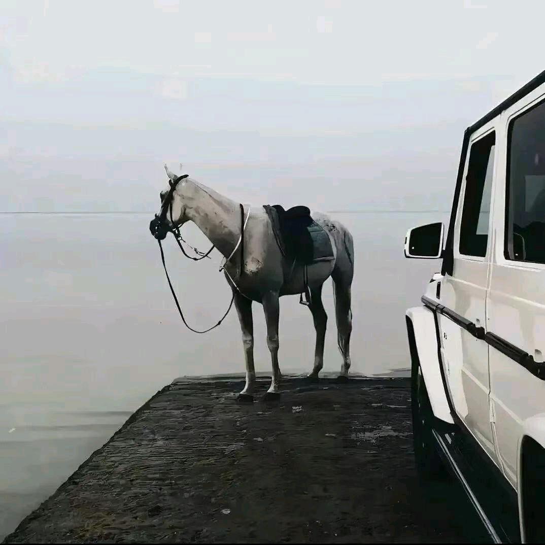 张韦的小店