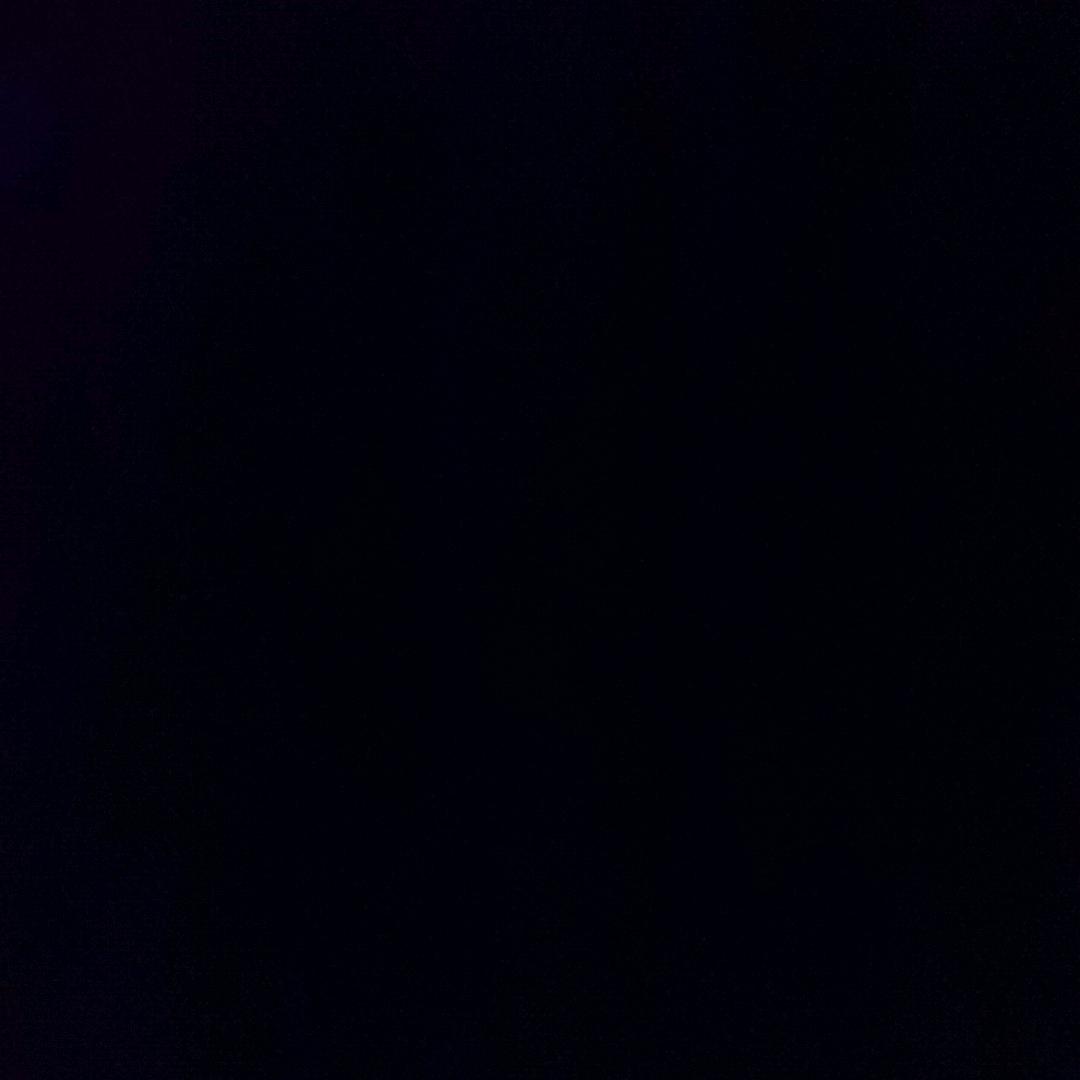 水家第一大黑粉