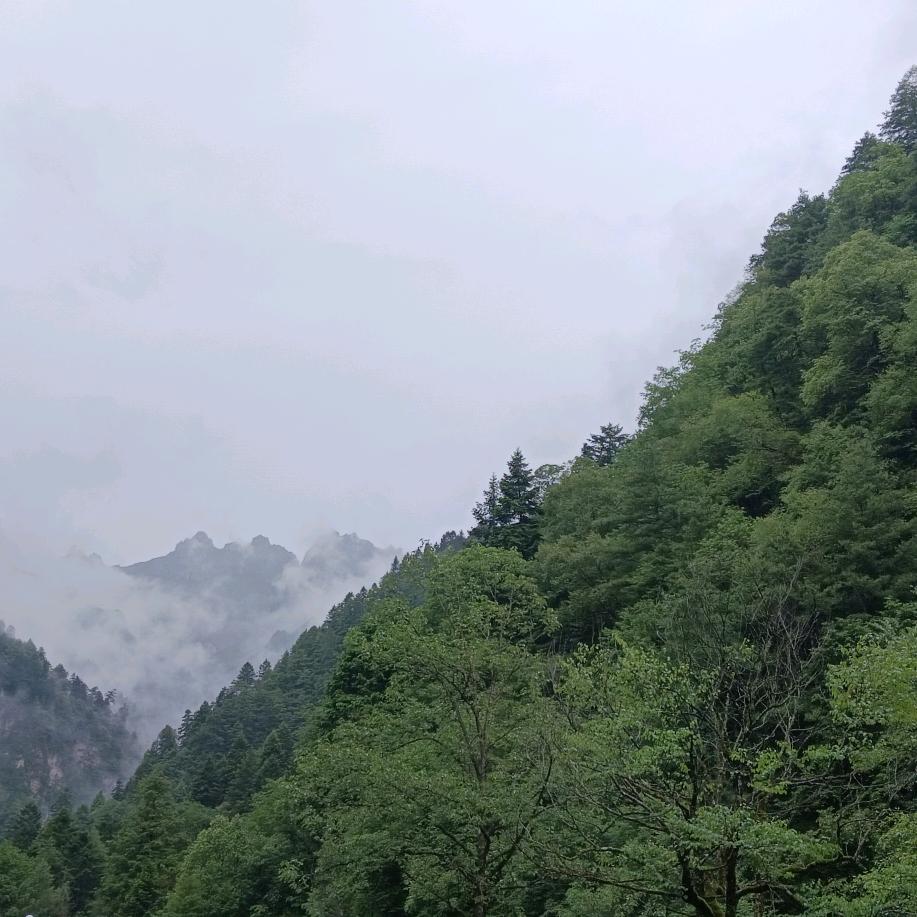 尔玉王月