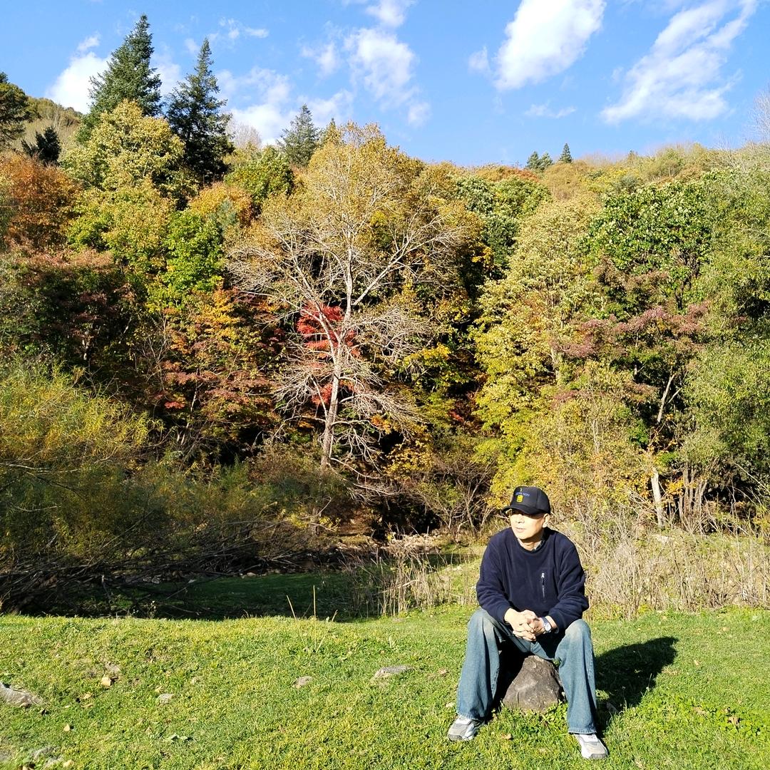 有脑子的战狼小马哥