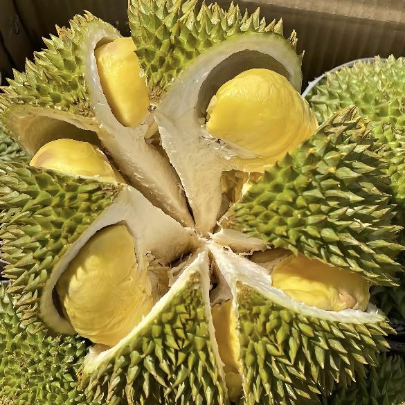 西安雨润阿林果业