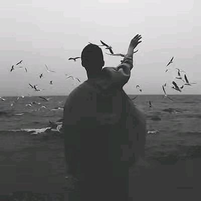 洋洋洋，