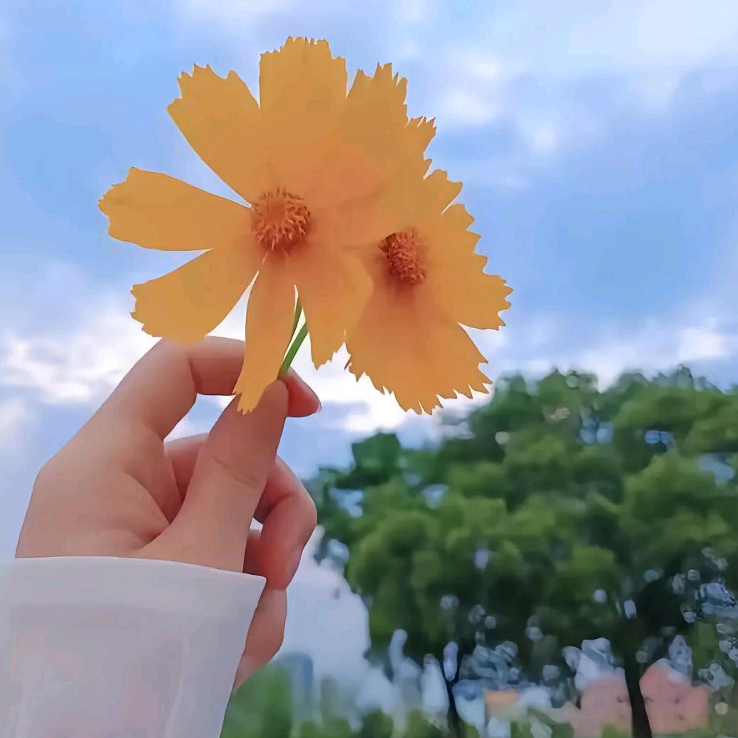 এ᭄²⁰25໑落幕ღ᭄