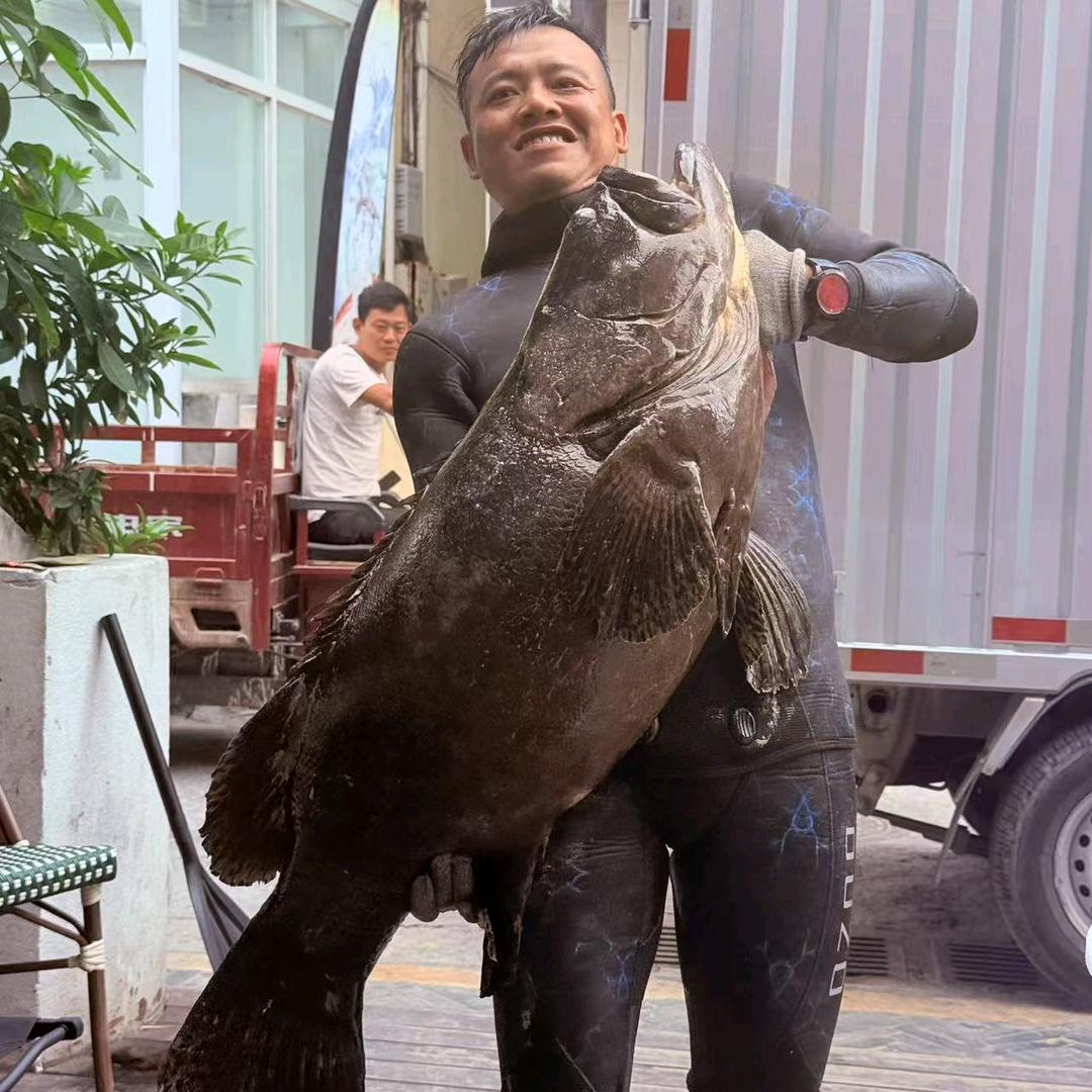 老狼